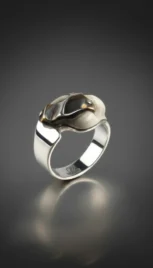 Bague 22 2, argent poli, mariage des métaux (argent, cuivre) et os sculpté resultat