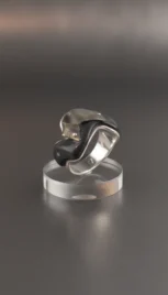 Bague 24 1, argent poli, mariage des métaux (argent, laiton) et ébène resultat