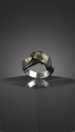 Bague 24, argent poli, mariage des métaux (argent, laiton) et ébène resultat