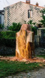 Regarde 2, séquoia, 230x110cm