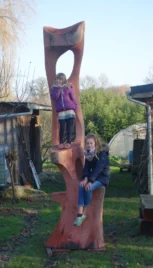 Arbre à chat, séquoia 5 320x90cm